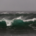 peresephoknee avatar