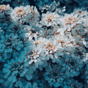 perfectantisocial avatar