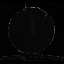 perfectassimilator avatar