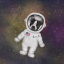 perfectlittlelives avatar