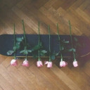 perfectlyproblamatic avatar