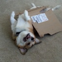 perfectlyvalid49 avatar