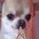 perfectnights avatar