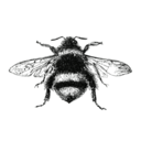 perieratus avatar