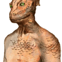 perilous-paradigm avatar