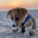 perishthethoughts avatar