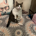 periwinkle-mimi avatar