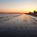 periwinklesea avatar