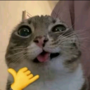 permanentlyexaustedpigeon avatar