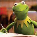 permitted-kermit avatar