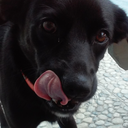 pernoninnoobz avatar