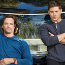 perpetuallymywinchesters avatar