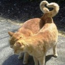 perpetuallysoakedforhim avatar