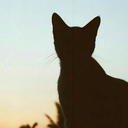 perra--bastarda avatar