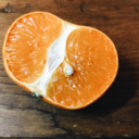 perry-pantera avatar