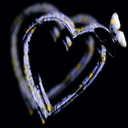 persanelmioblu avatar