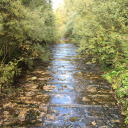 persatralerose avatar