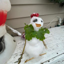 perse-is-rarwin avatar