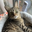 persevereandsmile avatar