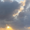 persimmonhater avatar