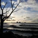 persistentmind avatar