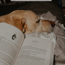 persistentpapaya avatar