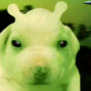 personal-bad-thinngs avatar