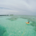 personal-perceptions avatar