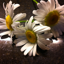 personally-pictured avatar