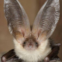 personalperson avatar