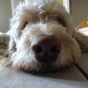 persondudeguy-blog avatar