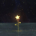 personwhodriftswiththestar avatar