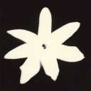 perspektivennew avatar