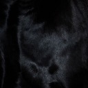 pervertedcanine avatar