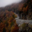 pervertedpilferer avatar