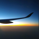 pescandoestrelas avatar