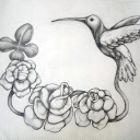 pescaruldeperle avatar