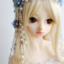 petal-wings avatar