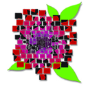 petaledpixels avatar