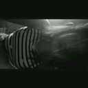 petalosalvieento avatar