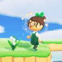 petaltail-dragonfly avatar