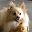 petamh avatar