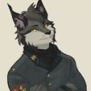 peter-dimlight avatar