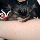 peter-pan-hoe avatar