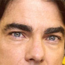 petergallagherseyebrows avatar