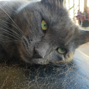 peterpeterpumkinsworld avatar