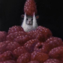 peterpipersen avatar