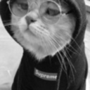 petitchatnoirr avatar