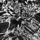 petitebabyslut avatar