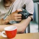 petites-lettres avatar